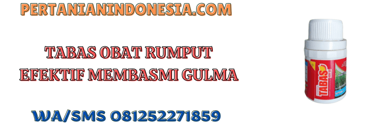 tabas,obat,rumput,pestisida,herbisida,pertanian indonesia